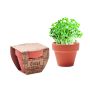 CRESS POT - Wood
