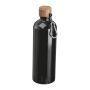 Stainless steel drinking bottle with carabiner, 75