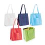 ROTTERDAM. Non-woven Cooler bag (80 g/m²)