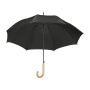 Umbrelă automată (2)