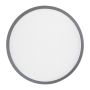 Frisbee