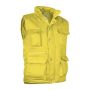 Vest Reporter