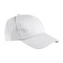 Toronto Cap