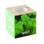 MENTA - Lemn - Personalizat