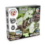 2 in 1 Fossil Excavation Kit I. Joc educațional pentru copii - Asortat - Personalizat