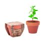 MINT POT - Wood