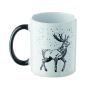 FESTIMUG