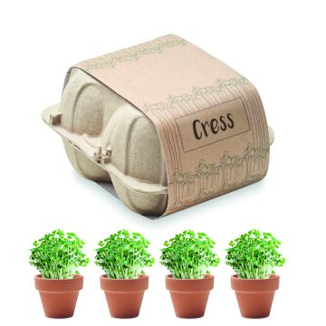 CRESS - Bej
