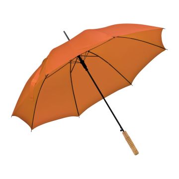 Umbrelă automată (5)