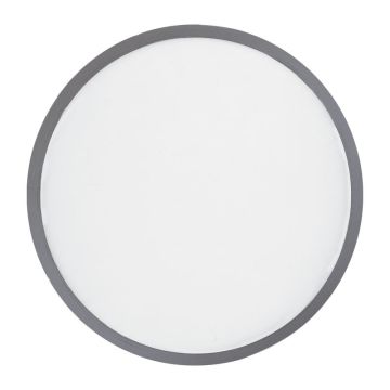 Frisbee