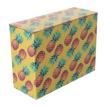 CreaBox EF-311