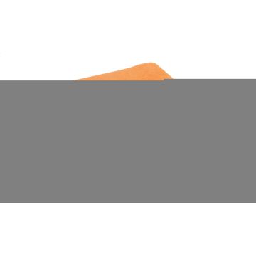 Batura
