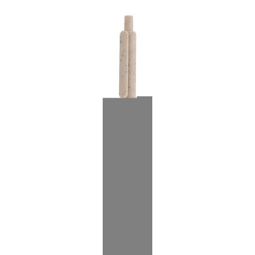 Borgy