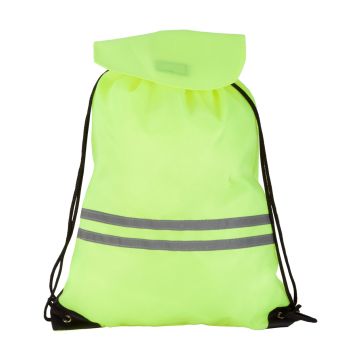 Carrylight