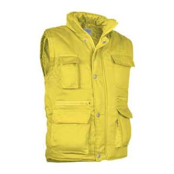 Vest Reporter