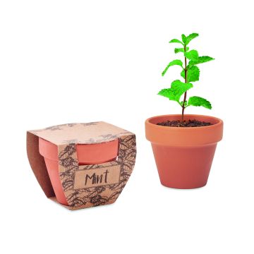 MINT POT - Lemn
