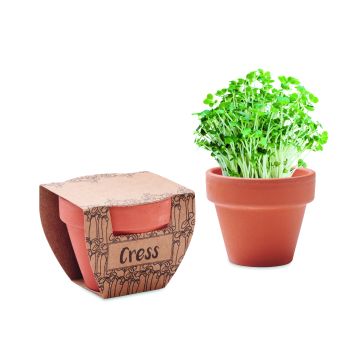 CRESS POT - Lemn