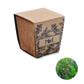 MINT KIT - Bej