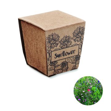 SUNFLOWER KIT - Bej