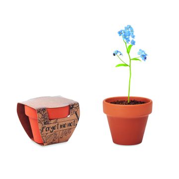 FORGET ME NOT - Lemn