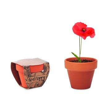 RED POPPY - Lemn