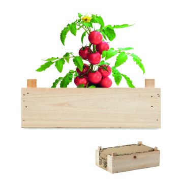 TOMATO - Lemn