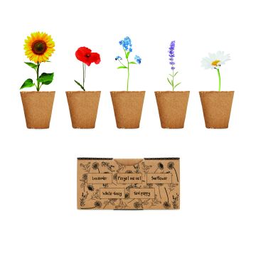 FLOWERS - Bej