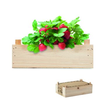 STRAWBERRY - Lemn