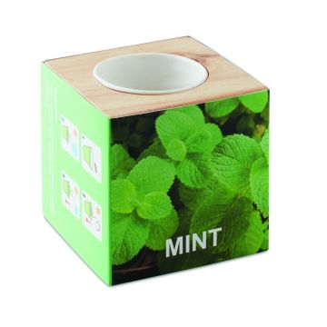 MENTA - Lemn