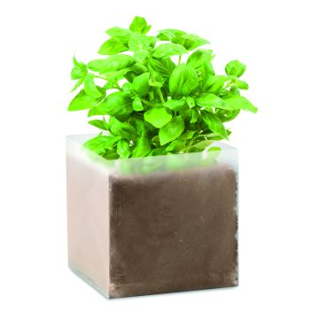 BASIL - Bej
