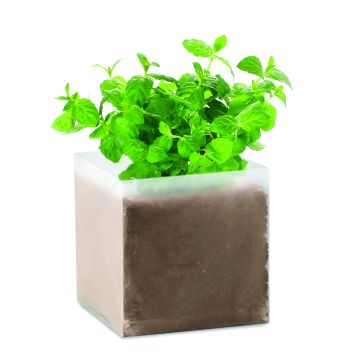 MINT - Bej