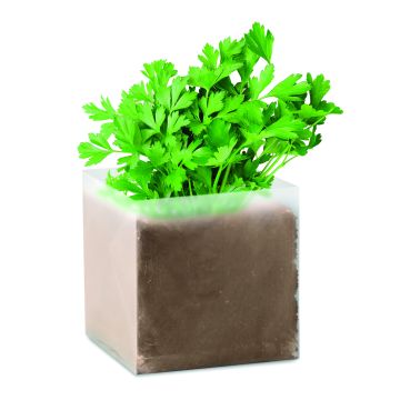 PARSELY - Bej