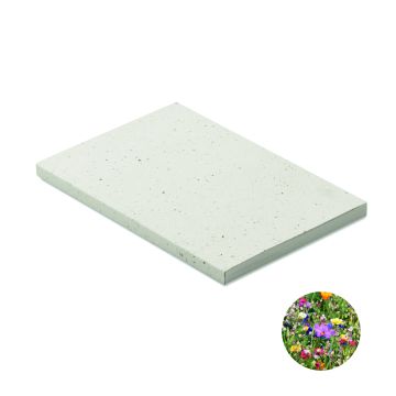 SEED BOOK - Alb