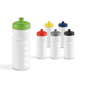 LOWRY. Sticlă sport 530 mL