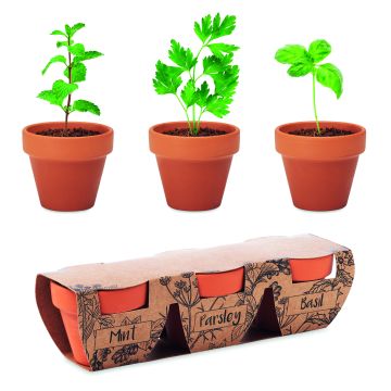 FLOWERPOT - Lemn