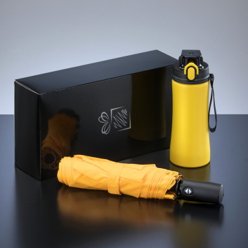 Primo Everyday Set: sticlă de apă 550 ml și umbrelă complet automată Harvard